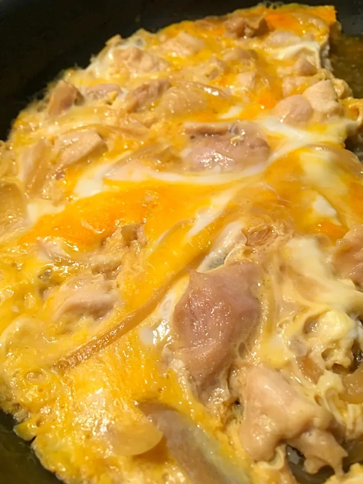 子供用親子丼。|河田 こころさん