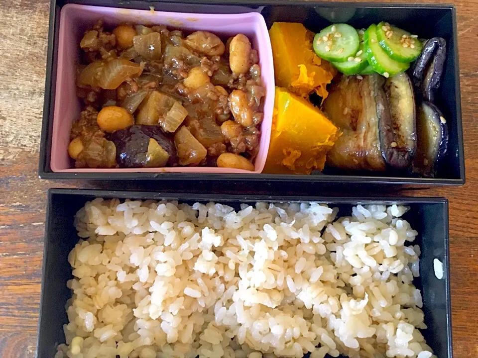 ドライカレーと焼きナス弁当|はむさん