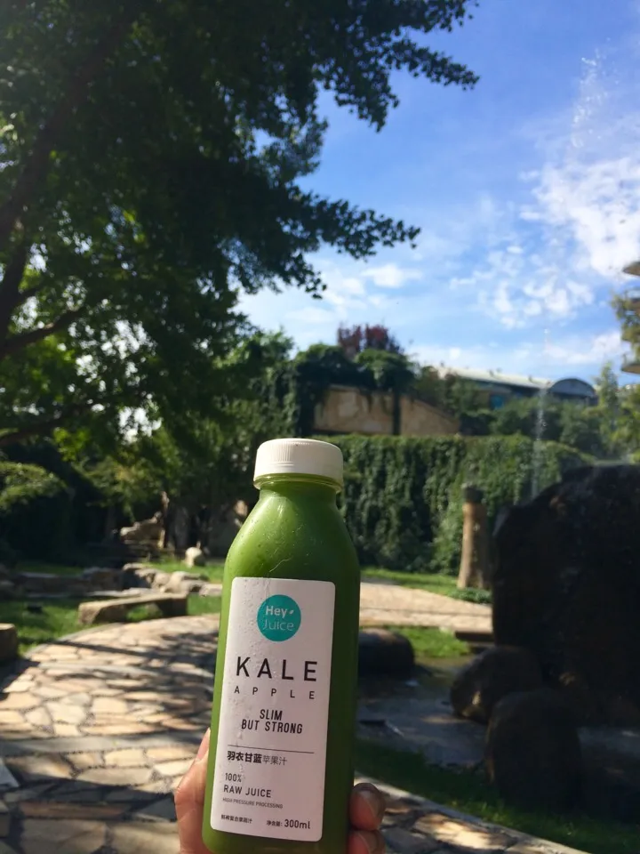 Kale apple 100% raw juice|Lilyさん