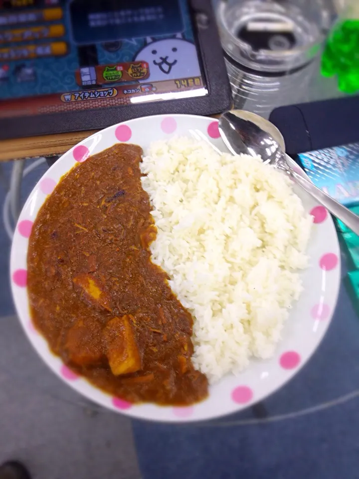 チキン煮込みカレー|Hideomi  Nonakaさん