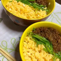 Snapdishの料理写真:三色丼✨大と小|莉菜さん