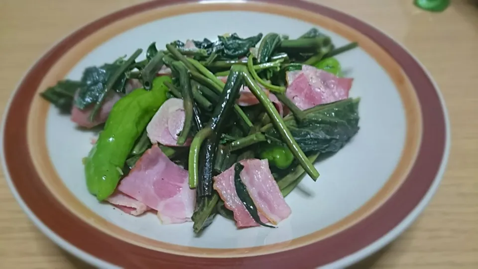 空芯菜とベーコンのにんにく炒め|土鳩さん