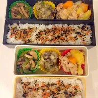 Snapdishの料理写真:本日のお弁当|satchさん