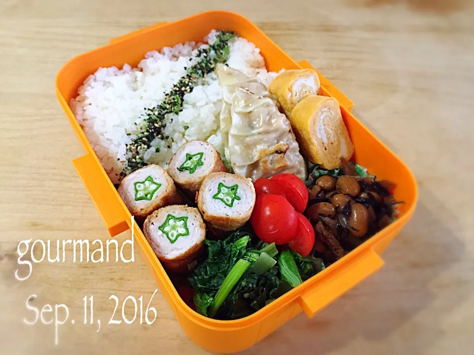 2016.9.11 息子お弁当♪|プーティさん