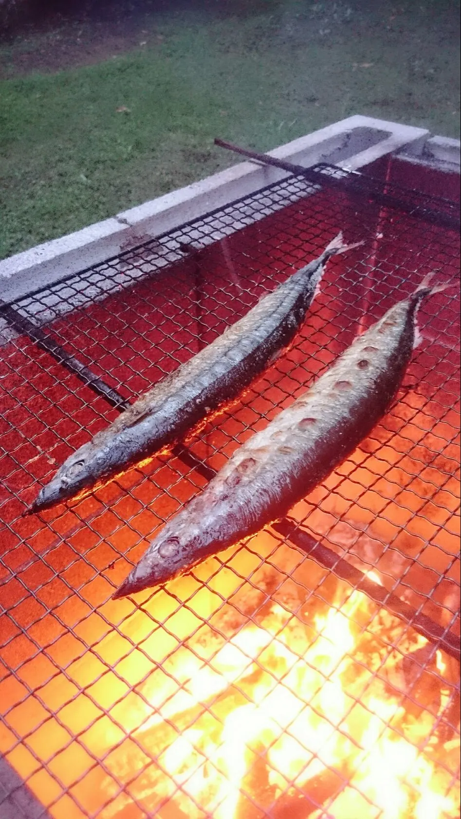 秋刀魚🐟焼けた〜!🔥＼(^o^)／|ナムナムさん