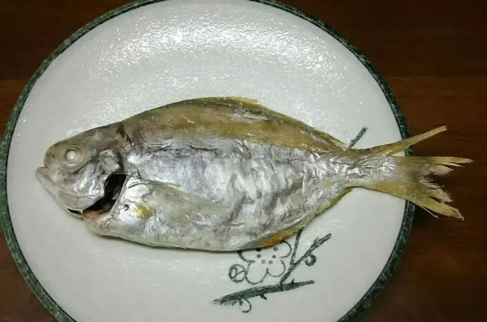 シズの塩焼き🐟|あらいぐまのしっぽさん