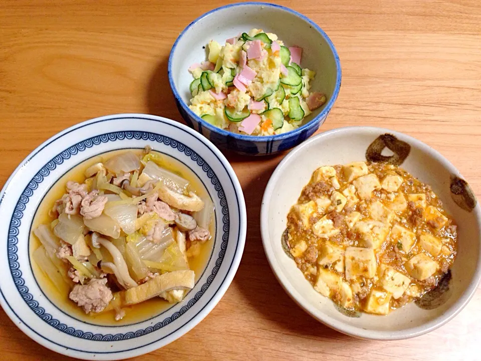 ごった煮⭐️麻婆豆腐⭐️ポテトサラダ|ほなさん