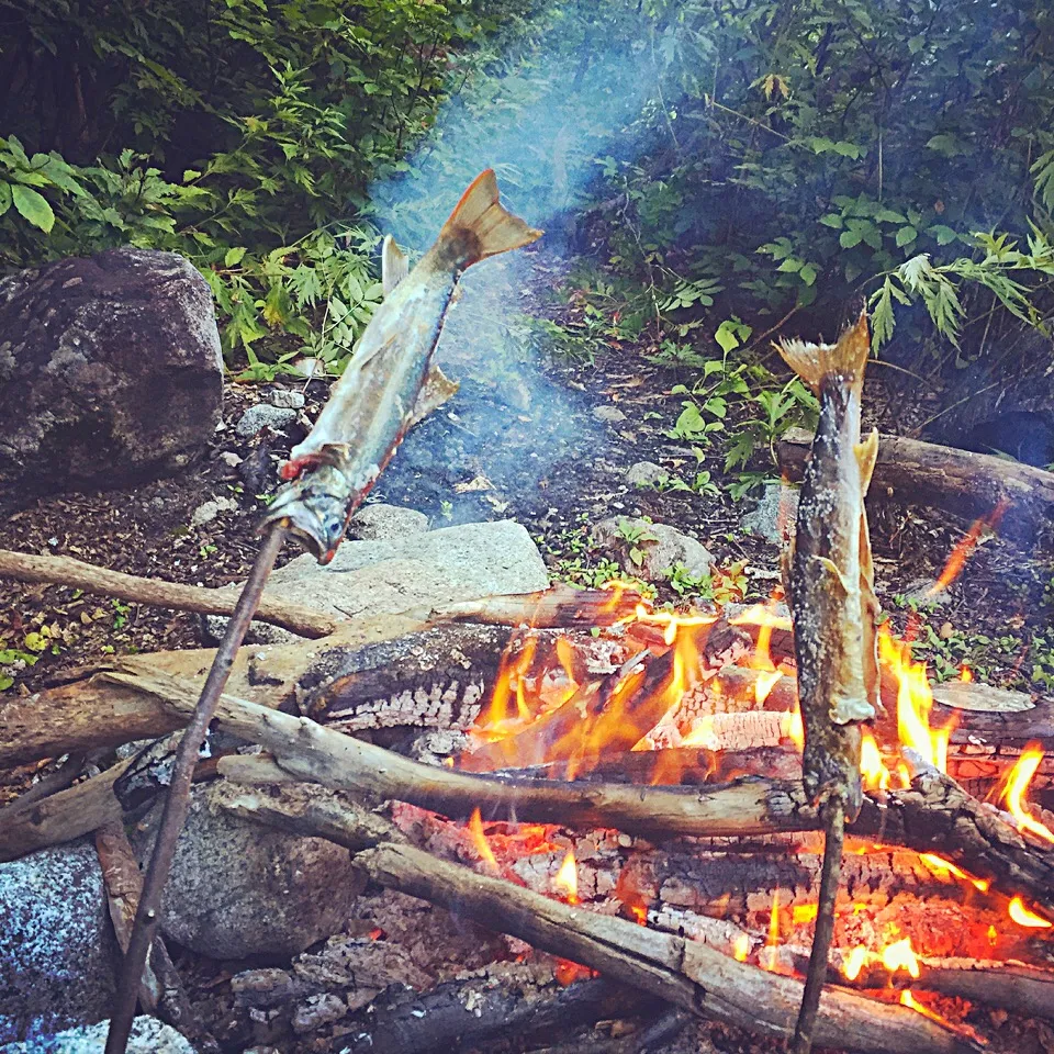 イワナの塩焼き。|ラー山さん