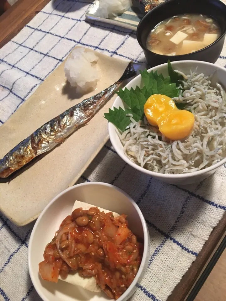 秋刀魚  キムチ納豆豆腐  しらす丼|まいぱんさん