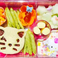 Snapdishの料理写真:Hello Kitty Inspired Bento Lunch|Cheryl Melnickさん