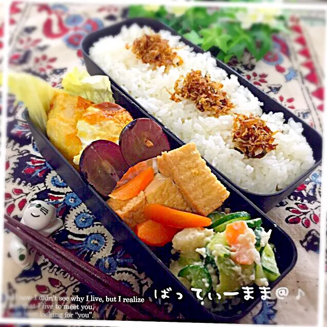 Snapdishの料理写真:鶏肉の卵つけ焼き弁当～♡ #ばってぃーまま＠♪の節約しても美味しいお弁当|ばってぃーまま＠♪さん