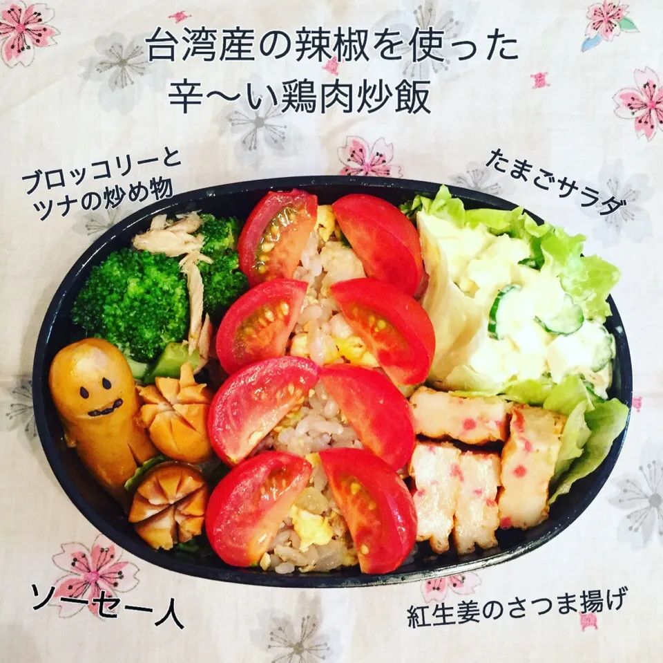 Snapdishの料理写真:OL弁当 ＊辣椒を使った鶏肉炒飯|Chieさん