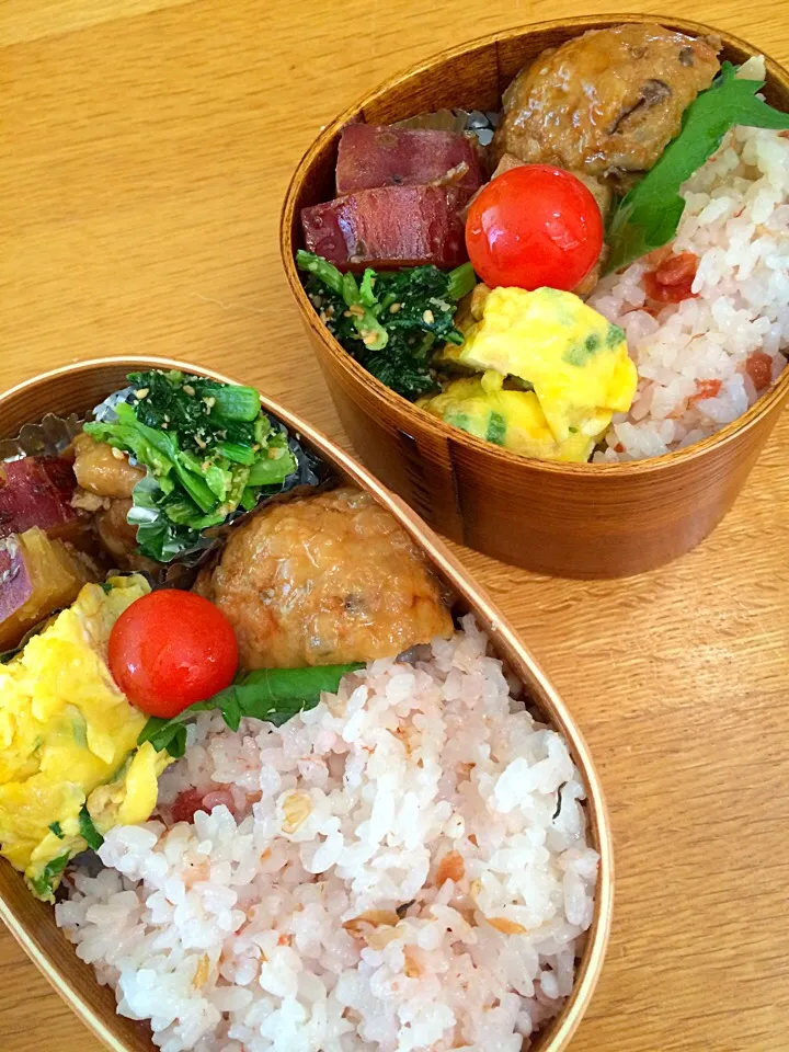 Snapdishの料理写真:今日のお楽しみ弁当🎶
次女とわたしの分🤗梅おかか混ぜゴハン、ネギとそぼろの卵焼き、さつまいもと鶏肉の煮物✨|5ネコママさん