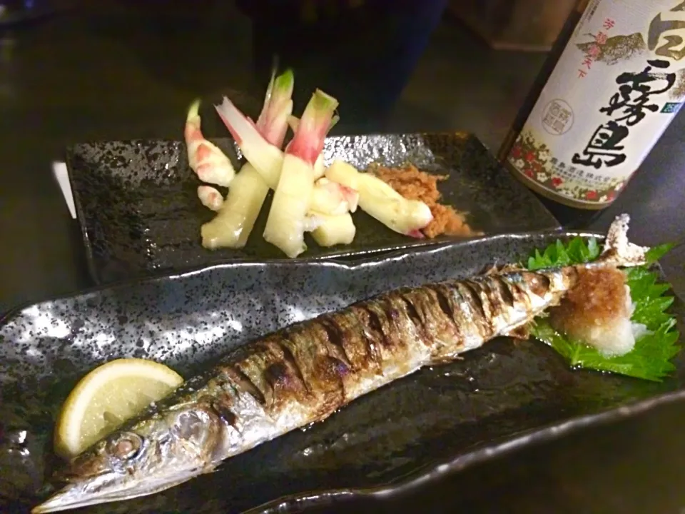 秋刀魚♡と葉生姜 お酒は白霧島 宮崎県|uchikawa hiroshiさん