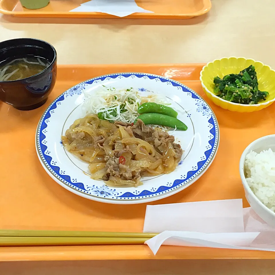 Snapdishの料理写真:豚肉と玉ねぎの炒め物(^o^)|すかラインさん