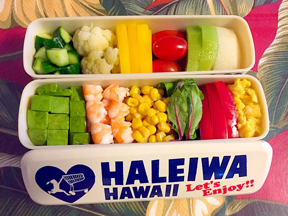 9/14お弁当|ヨーコさん