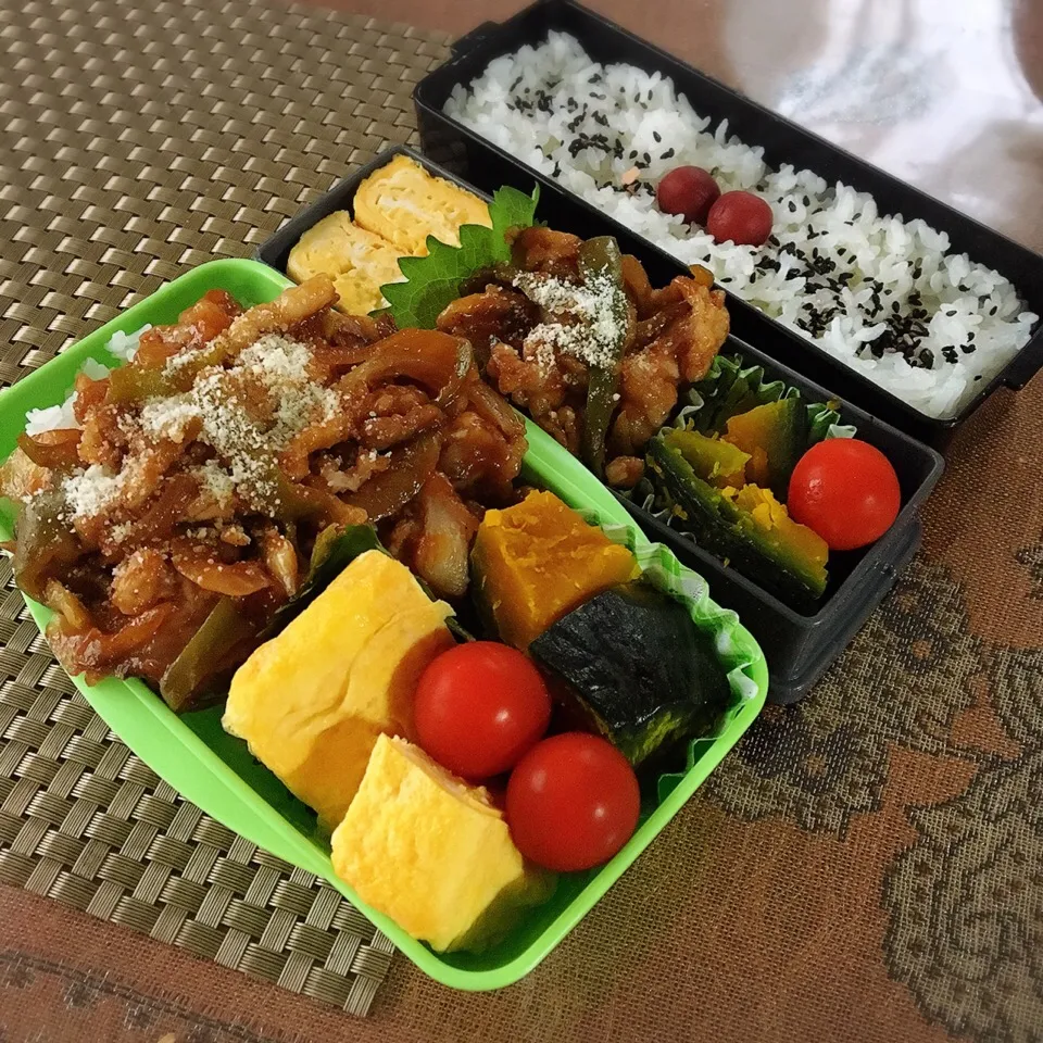 今日のお弁当〜(*'ω'*)
坊ちゃんカボチャを炊きました♬
ナポリ丼|renharuruさん