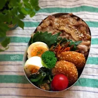 Snapdishの料理写真:焼豚丼弁当〜🐖|さと⋆さん