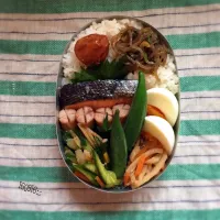 Snapdishの料理写真:鮭弁🐟|さと⋆さん