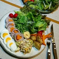 Snapdishの料理写真:ヨーグルト切り干し大根のサラダ