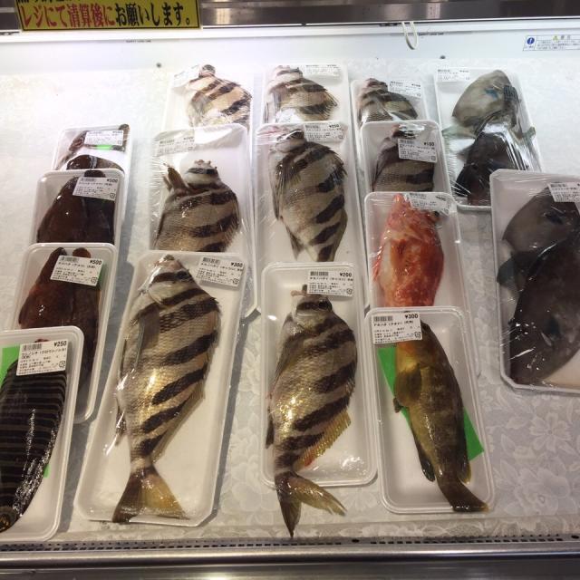 長崎 平戸瀬戸市場のお魚左からキジハタ ウシノシタ タカノハダイ カサゴ アオハタ ウマヅラハギ 関西では流通してない珍しい魚ばかり ぱある Snapdish スナップディッシュ Id Udkiva