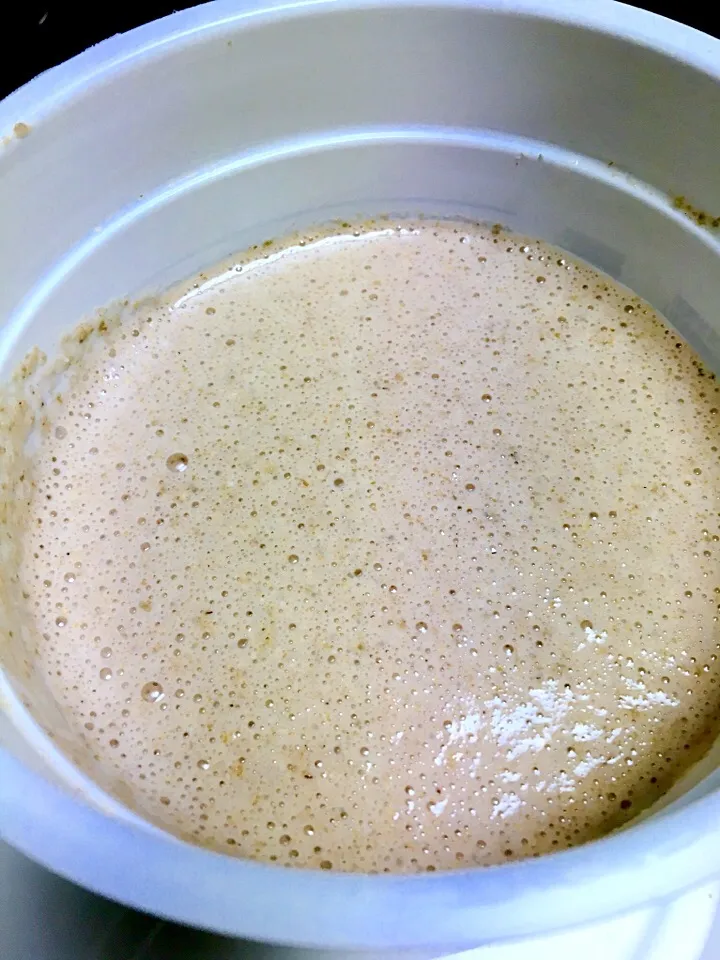 Matured Rye Sourdough Starter (Ready to Use)|gonbenさん