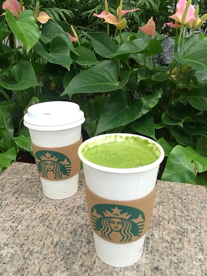 Matcha Latte 🍵🍵half suger|Lilyさん