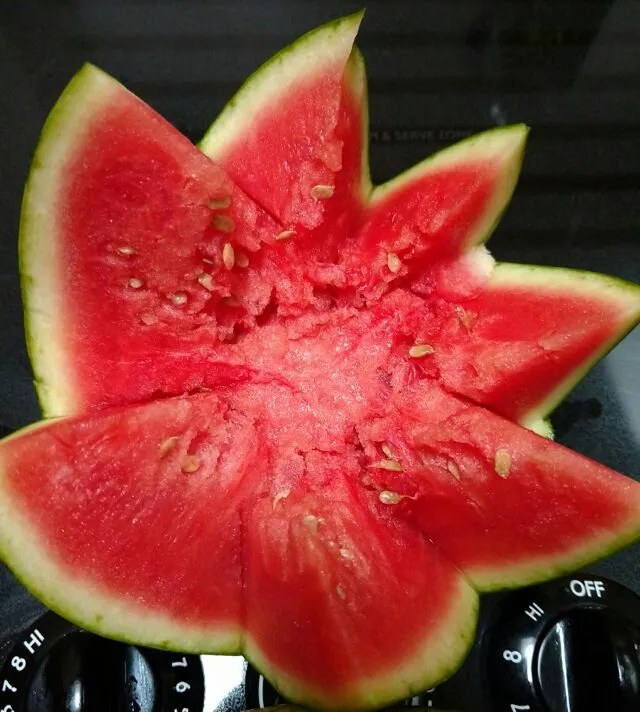 watermelon flower|paulaさん