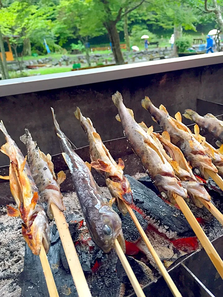 ヤマメの塩焼き🐡|ぽっちゃんさん