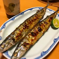 Snapdishの料理写真:秋刀魚と湘南ゴールドビール|takbeeさん