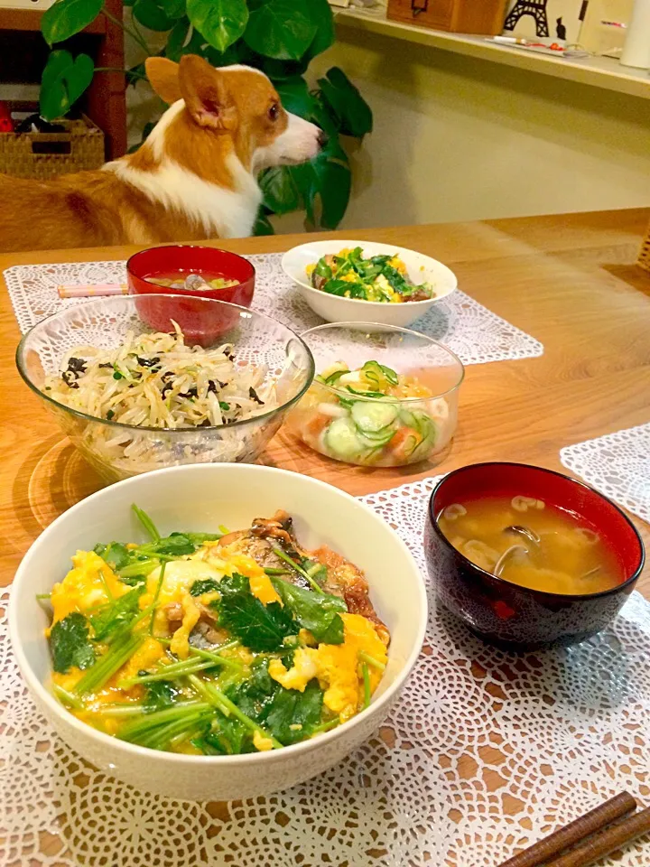 男飯の再現
さんまの蒲焼き玉子丼
もやしとカイワレと韓国のりのナムル|nanaママさん