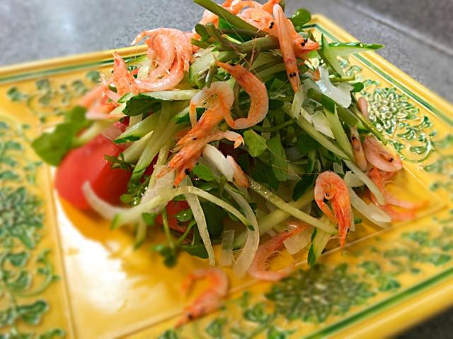 一度は試したい きゅうりと桜えびで作る料理 レシピセレクト Snapdish スナップディッシュ