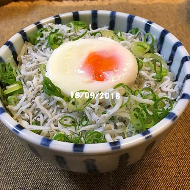 しらす丼♡|友さん