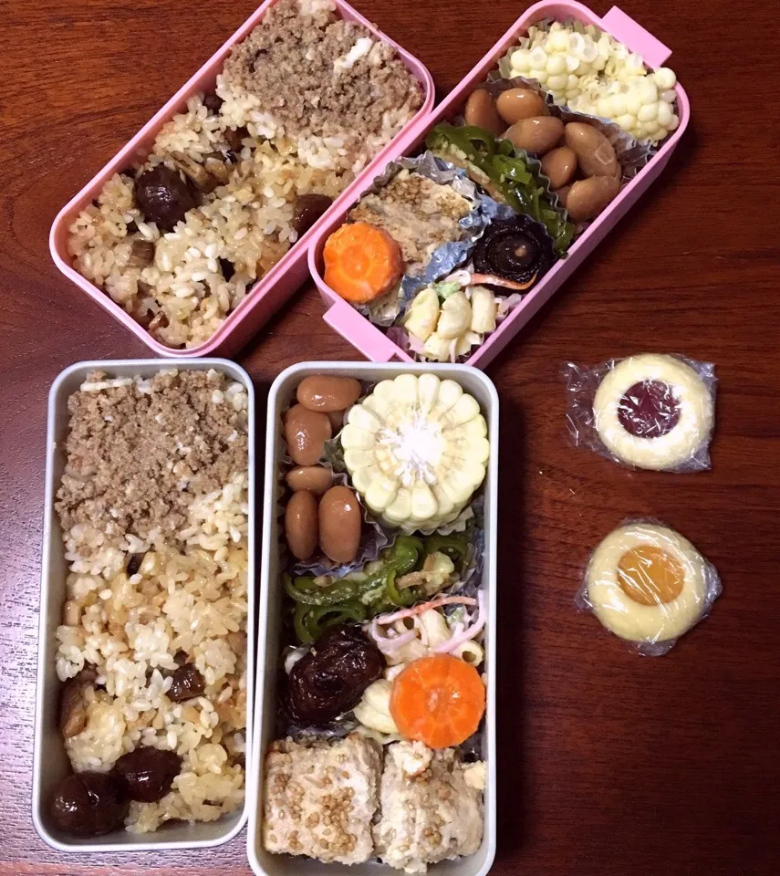 9/20 お弁当|もっちさん