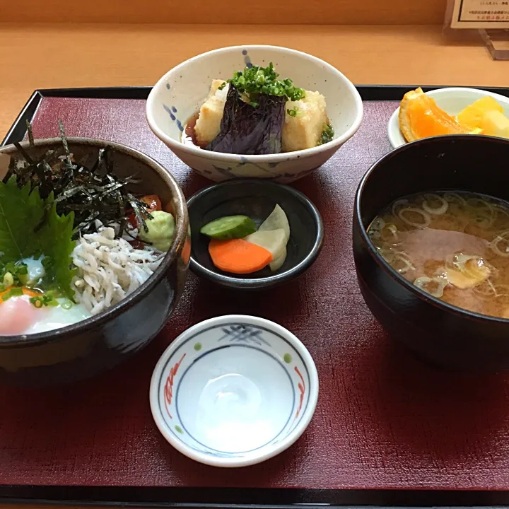 シラスまぐろ丼/茄子と豆腐揚げ出し/味噌汁|山内博之さん