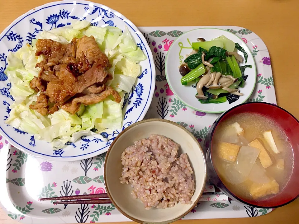 Snapdishの料理写真:9月20日
豚の生姜焼き
キャベツ炒め
青梗菜ときのこの和え物
厚揚げと大根の味噌汁
玄米|あちゃんみんさん