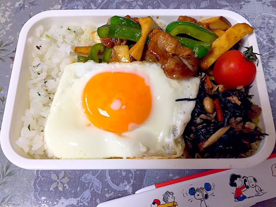 息子弁当〜青椒肉絲|haaakiさん