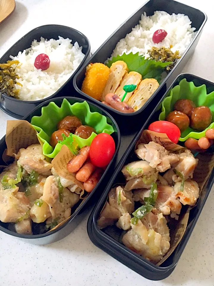 塩ダレチキンのお弁当。|マイさん