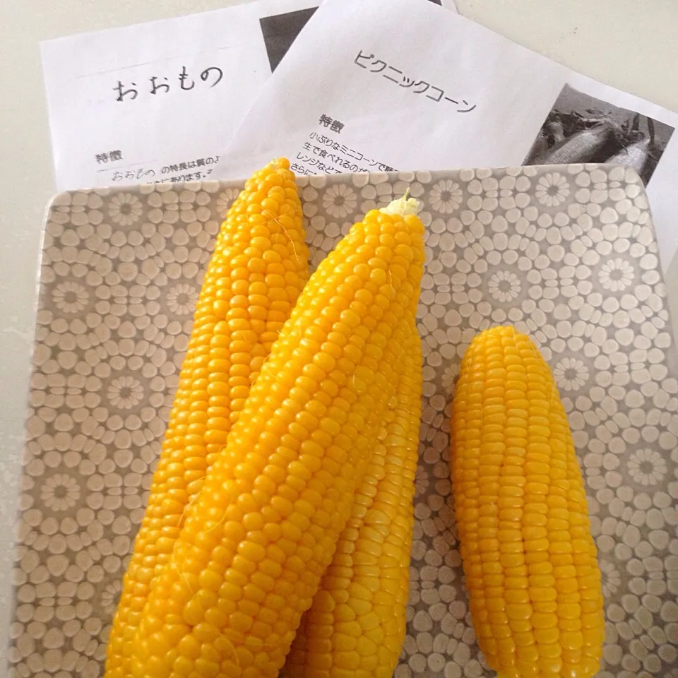 Snapdishの料理写真:旭川直送とうもろこし🌽|aynyaynyさん