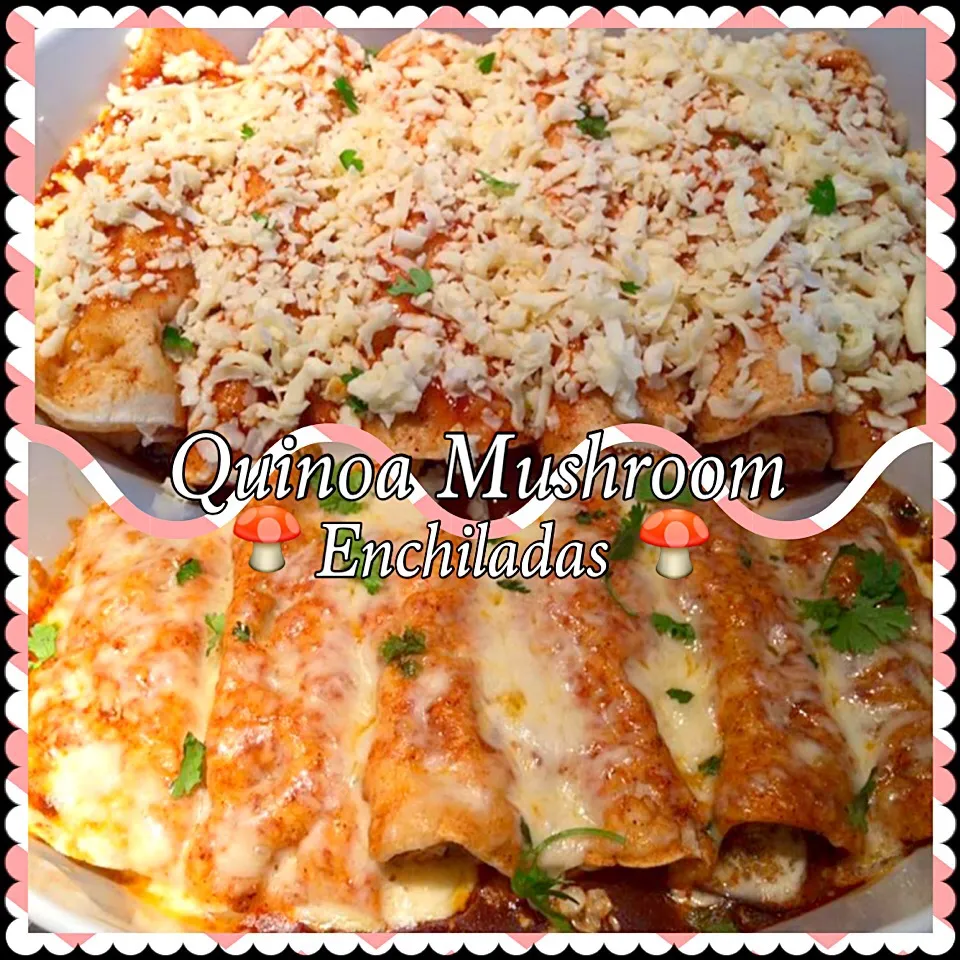 Quinoa Mushroom Enchiladas🍄|🌺IAnneさん