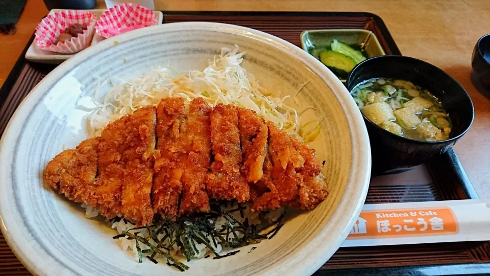 Snapdishの料理写真:たれカツ丼|清原　鉄男さん