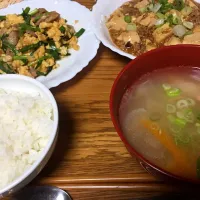 Snapdishの料理写真:ニラ卵と麻婆豆腐|ayaminさん