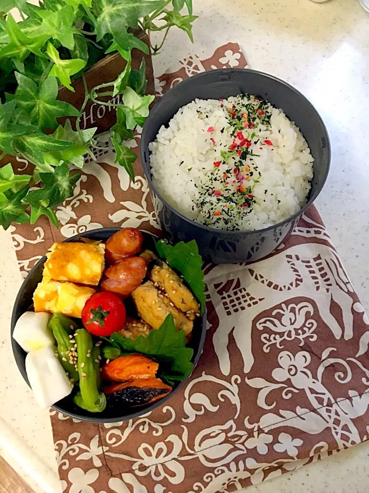 高校男子弁当🏉
✴︎とりつくね
✴︎インゲン胡麻和え
✴︎卵焼き
✴︎焼き鮭
✴︎はんぺんチーズ|emisanさん