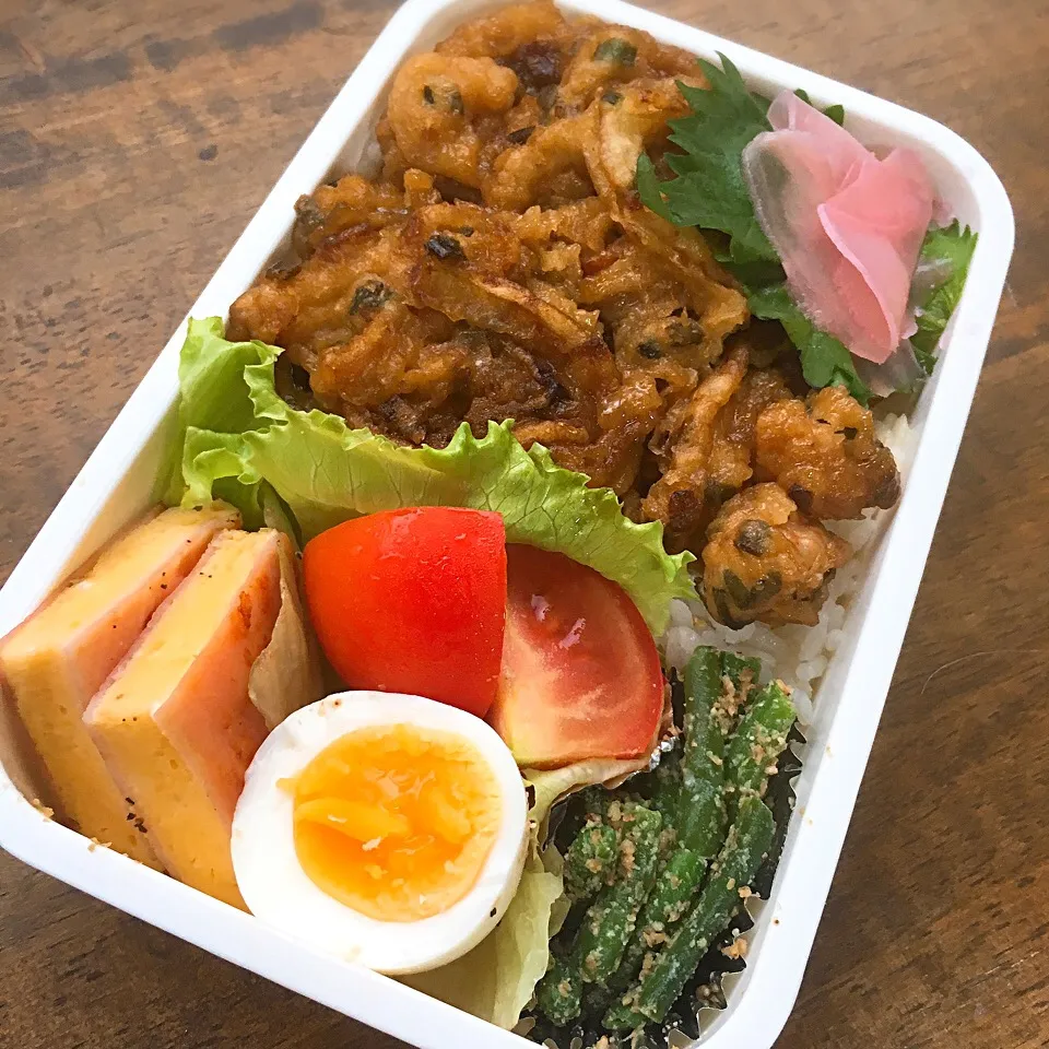 今日のお弁当
・残り物天ぷら甘煮
・インゲンのごま和え
・卵焼きのハムはさみ
・新生姜の甘酢漬け
・ゆで卵|akiさん