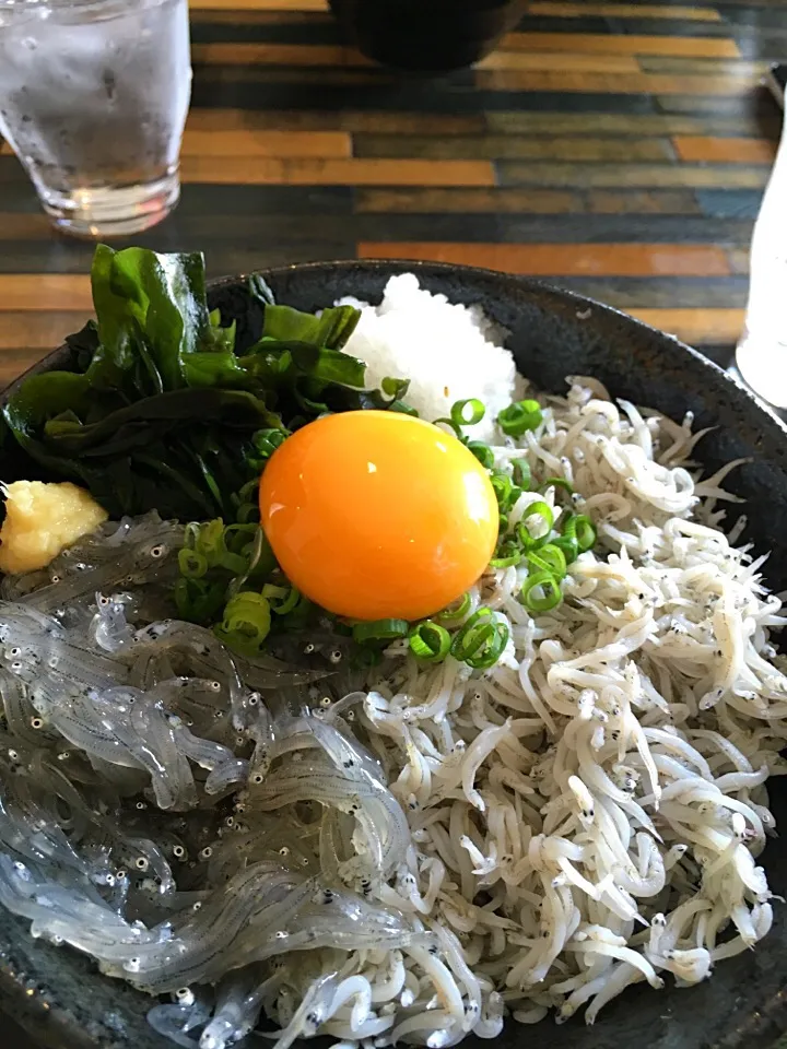 生しらす丼|たーさんさん