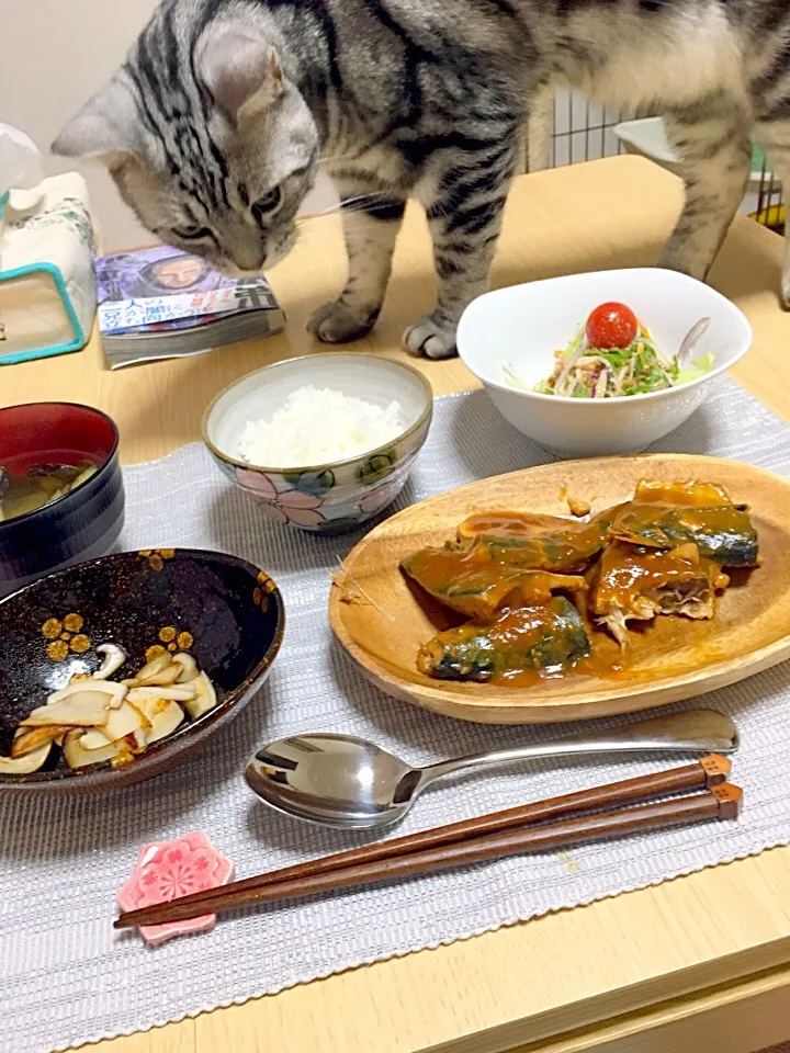 Snapdishの料理写真:ねこつき|hirokomushiさん