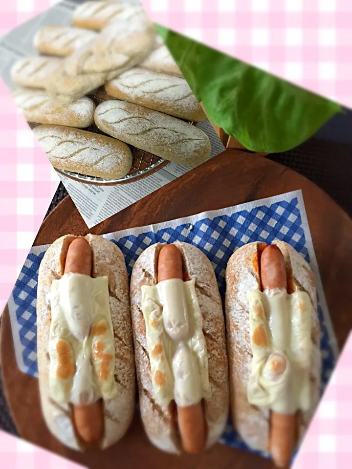 ライ麦パン
🌭ホットドック|春夏秋冬さん