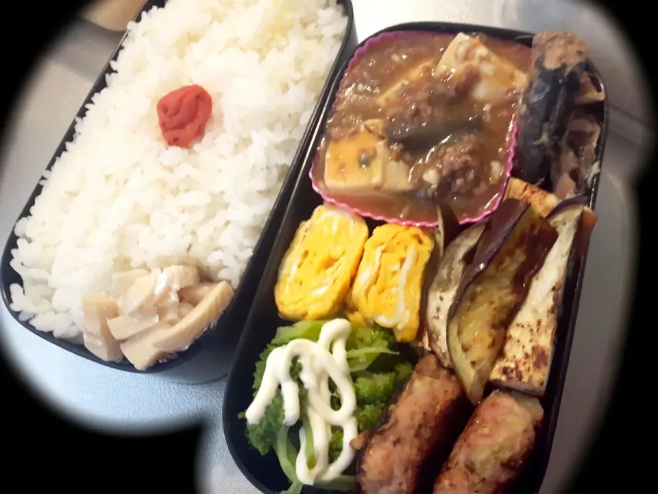 お弁当♪|みどりさん