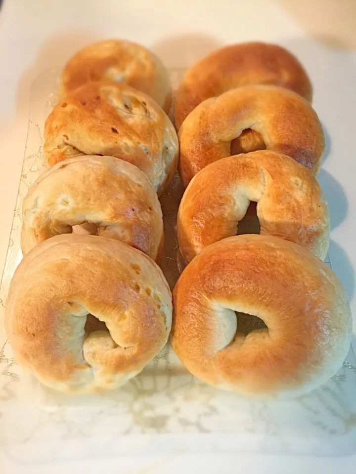 Snapdishの料理写真:Plain & Onion Bagels homemade|Yona Kiren Kohさん