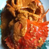 Snapdishの料理写真:Singapore homemade chilli crab|summer semさん